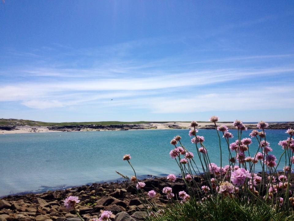 Dolphin Beach House Otel Clifden Dış mekan fotoğraf