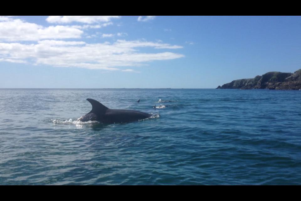 Dolphin Beach House Otel Clifden Dış mekan fotoğraf