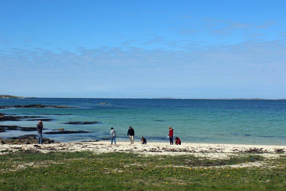 Dolphin Beach House Otel Clifden Dış mekan fotoğraf