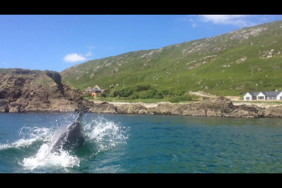 Dolphin Beach House Otel Clifden Dış mekan fotoğraf