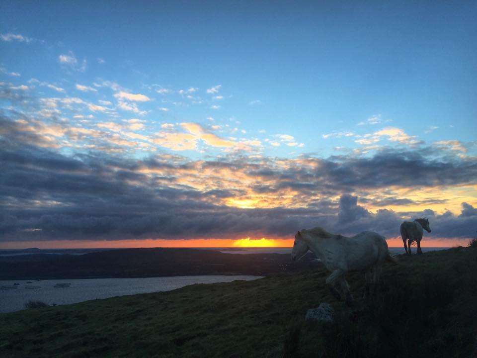 Dolphin Beach House Otel Clifden Dış mekan fotoğraf